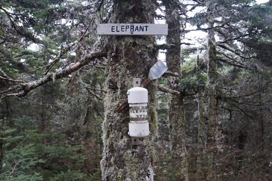 elephant mountain summit sign canister andover maine 